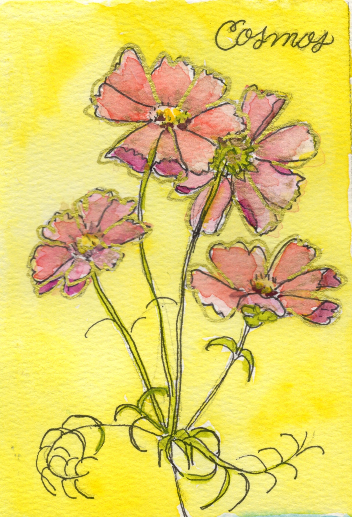 Cosmos botanical notecard