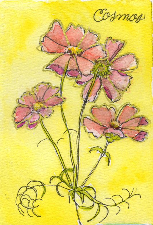 Cosmos botanical notecard