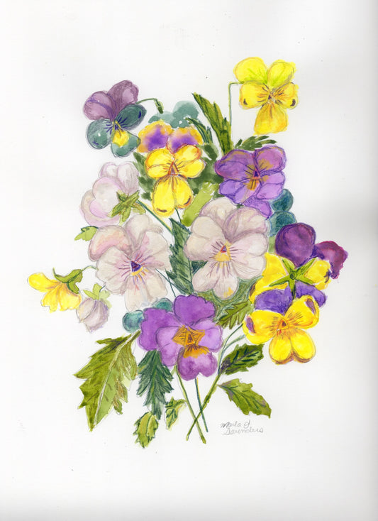 Donna's Pansies — giclée print of a watercolor and colored pencil painting of pansies by Marla Saunders