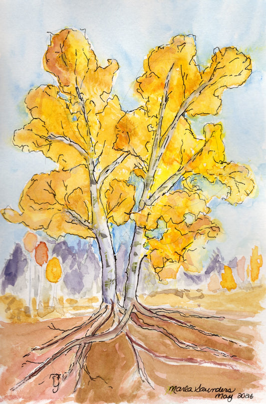 Intertwined Aspens — original watercolor, gifted, in the artist's Collected gallery