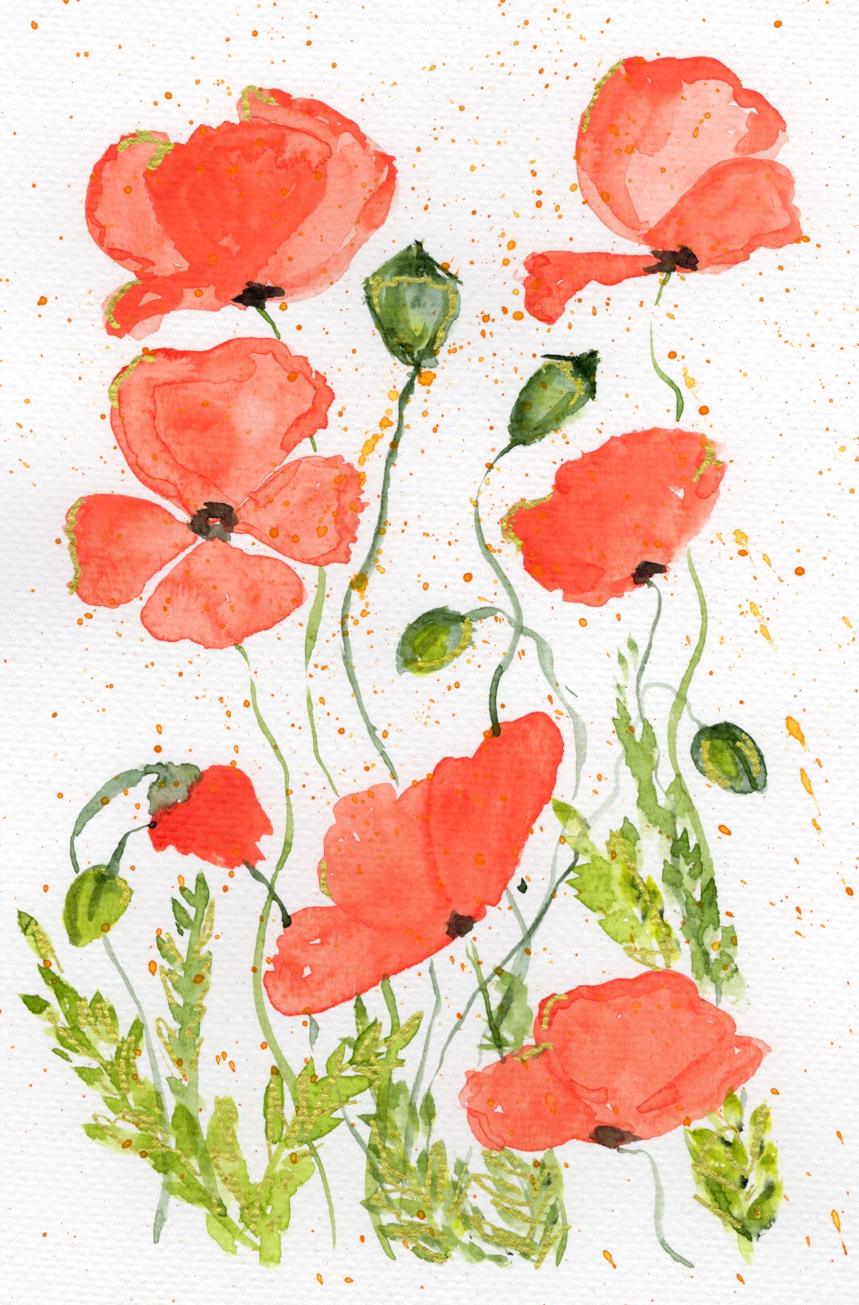 Poppies — loose red watercolor poppies with gold accents