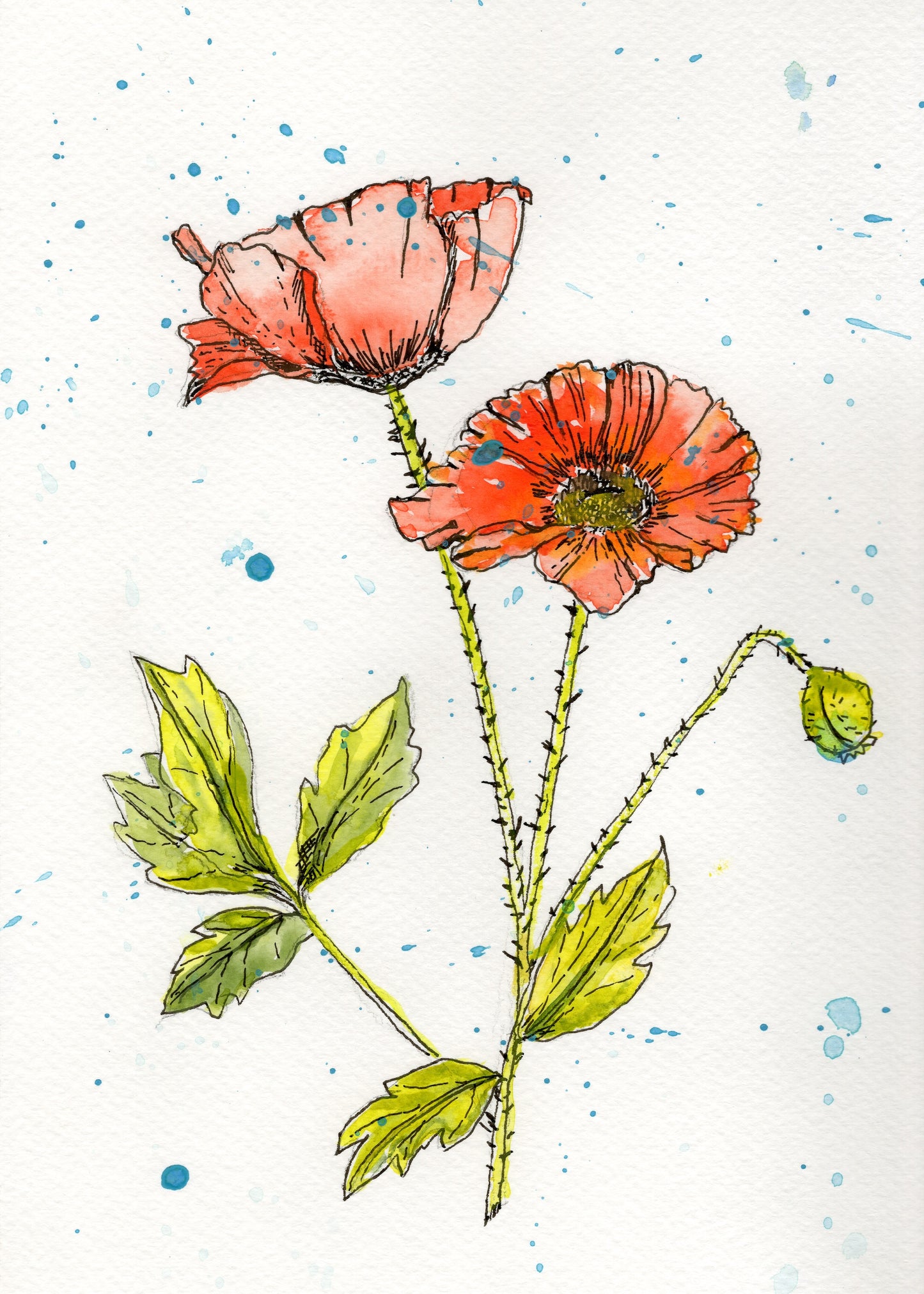 Poppy Please — Original Watercolor