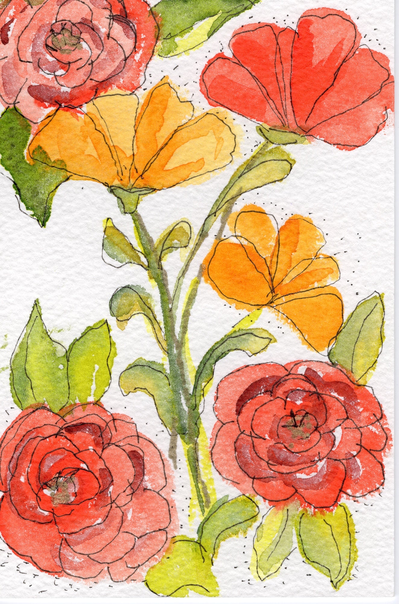 Sunlight Stems — loose watercolor and pen-and-ink botanical by Marla Saunders