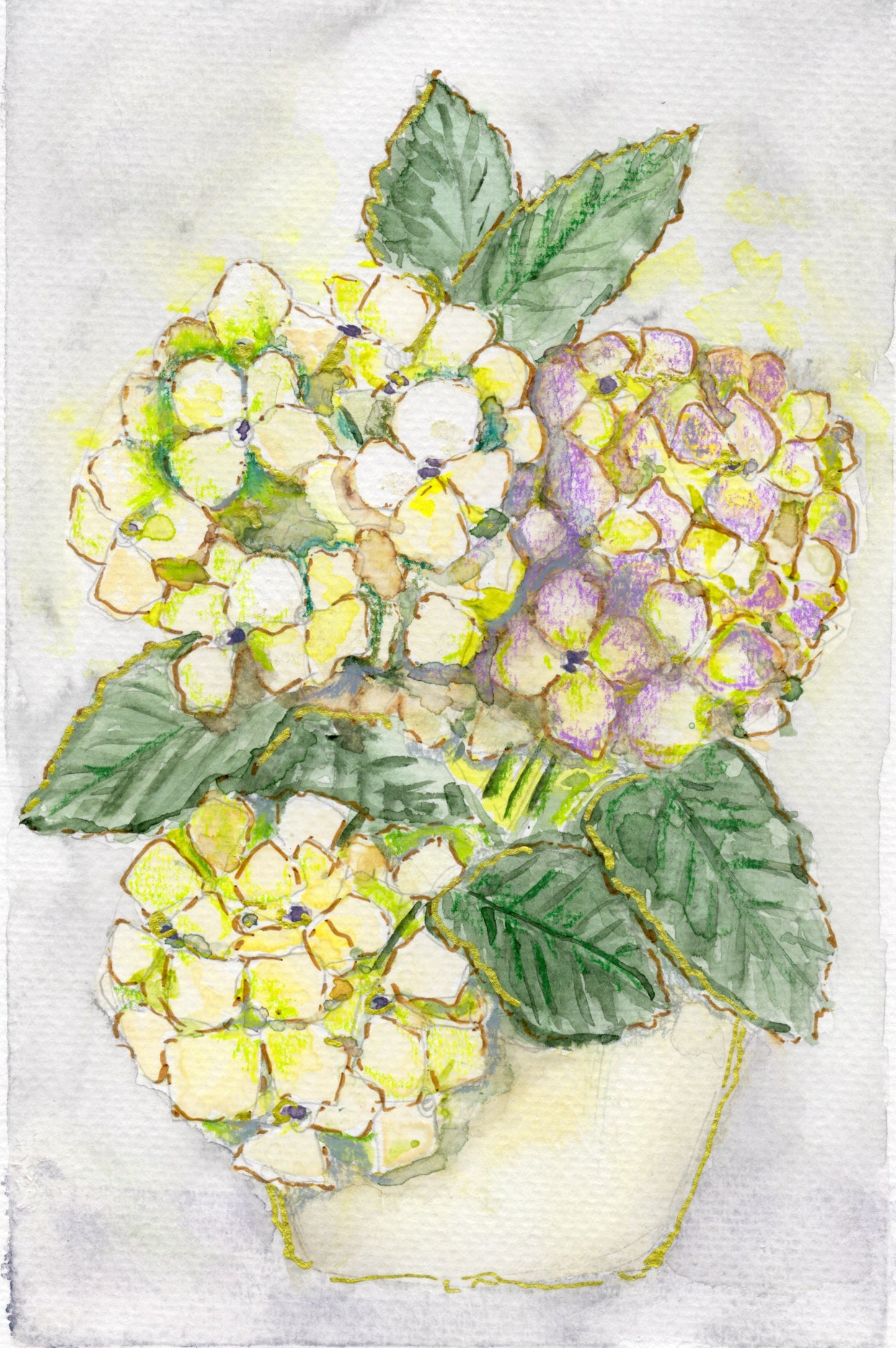 Imperfectly Perfect Hydrangeas